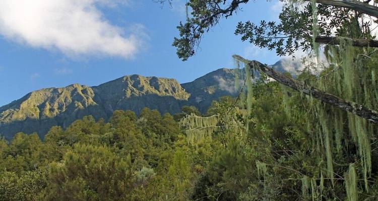Monte Meru, Kilimanjaro y safari - DIAMIR Erlebnisreisen 10