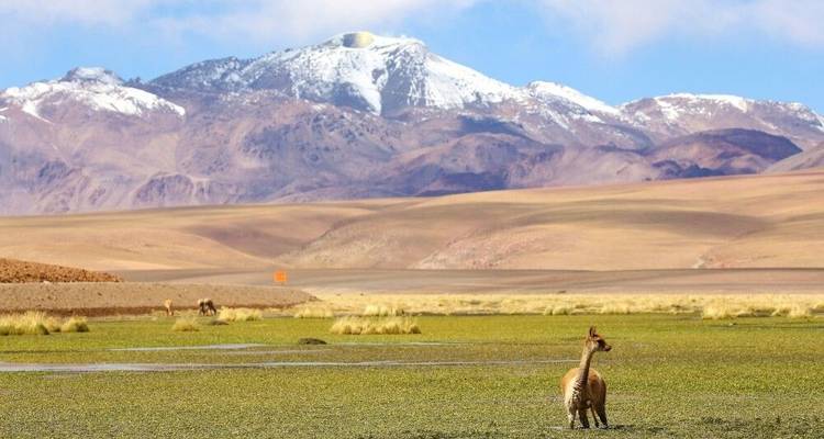 Highlights of the Andean Countries - DIAMIR Erlebnisreisen 2