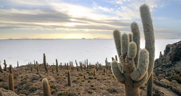 Highlights of the Andean Countries - DIAMIR Erlebnisreisen 3