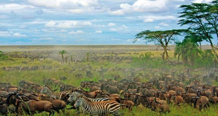 Kilimanjaro, safari y Zanzíbar - DIAMIR Erlebnisreisen 7