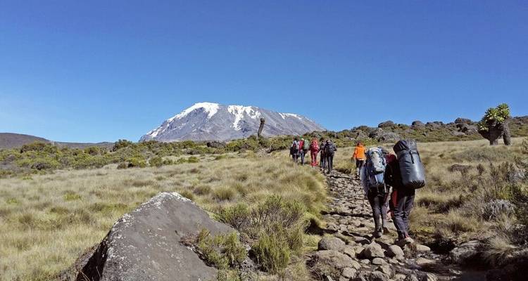 Kilimanjaro y safari - DIAMIR Erlebnisreisen 9