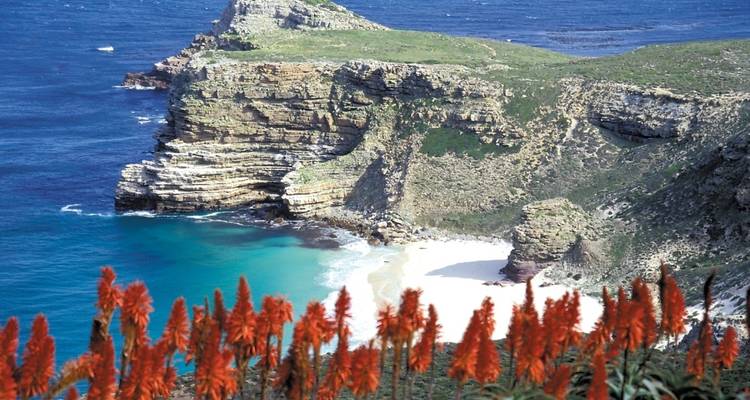Dramatic coastal cliff view with colorful flowers and turquoise sea.