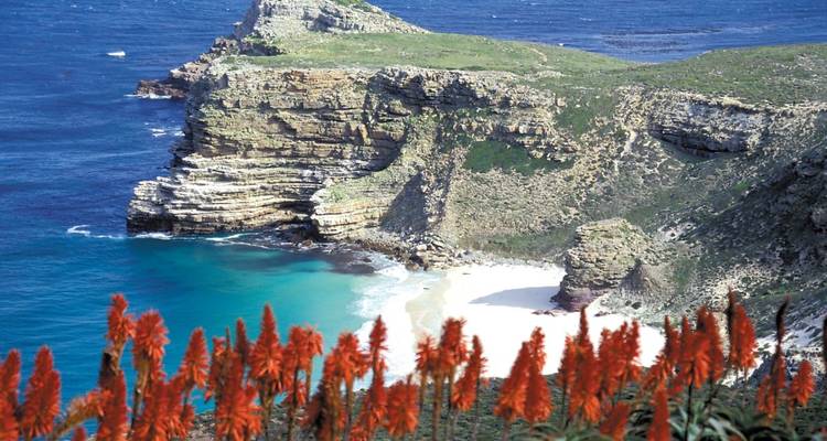 Coastline with flowers in bloom and turquoise waters.