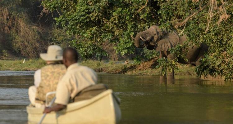 Pure Nature Photography between Luangwa and Zambezi - DIAMIR Erlebnisreisen 10