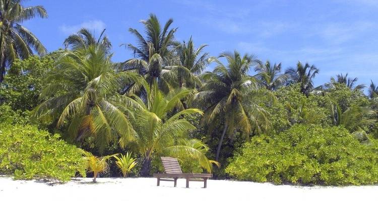 Island Hopping aux Maldives (from Malé to Maamigili) - DIAMIR Erlebnisreisen 8