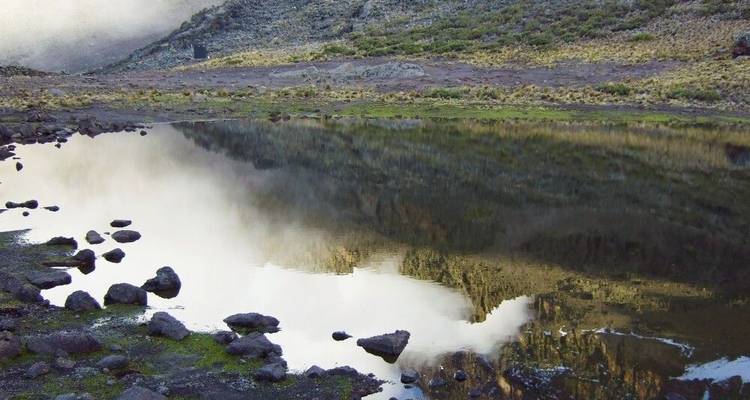 Kilimanjaro - the Roof of Africa via Kikelewa Route - DIAMIR Erlebnisreisen 5