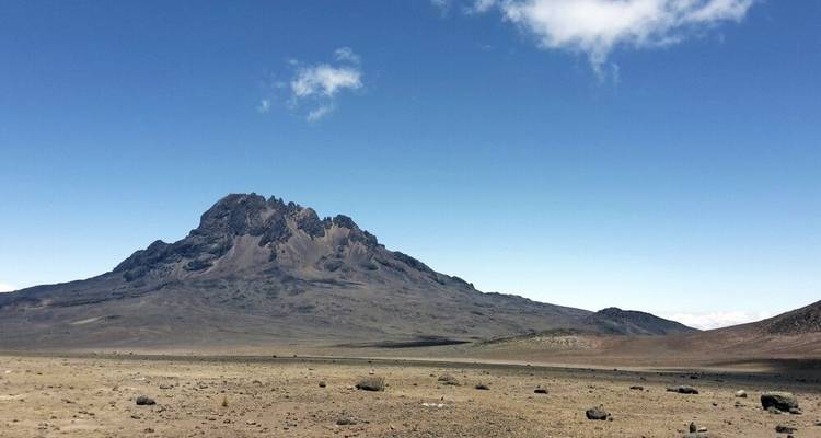 Mount Kilimanjaro - the Roof of Africa via Marangu Route - DIAMIR Erlebnisreisen 9
