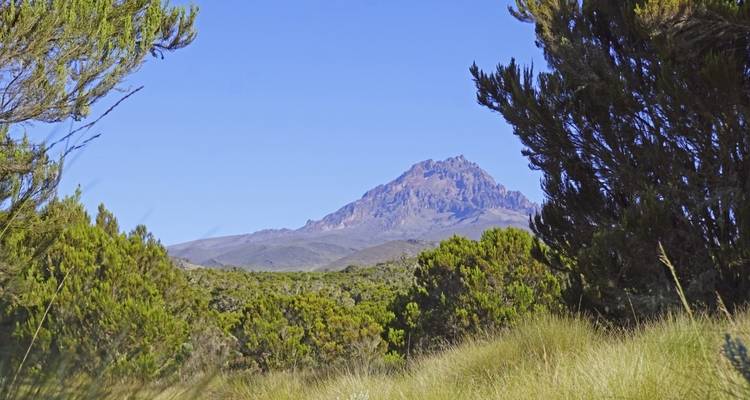 Vista de montaña enmarcada por vegetación verde.