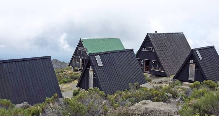 Cabañas de estructura en A en un día nublado, rodeadas de arbustos.