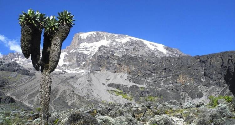 Kilimanjaro - The Roof of Africa via Machame Route - DIAMIR Erlebnisreisen 4