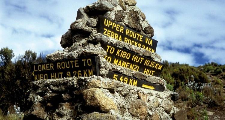 Kilimanjaro - The Roof of Africa via Machame Route - DIAMIR Erlebnisreisen 6