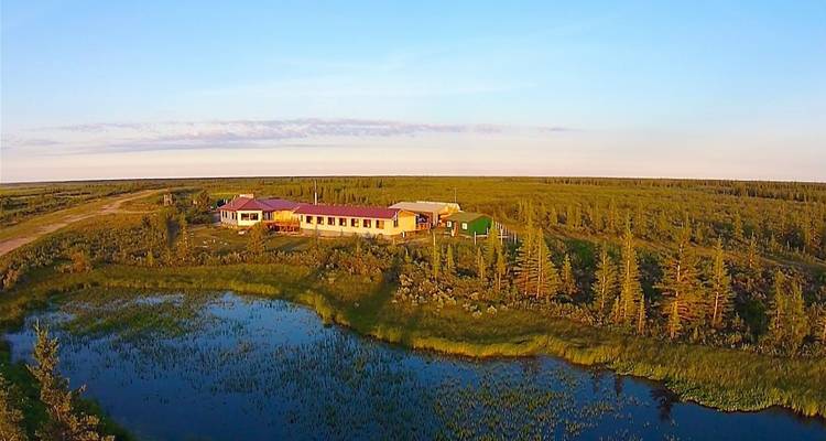 Safari d'été en lodge au pays des ours polaires - DIAMIR Erlebnisreisen 6