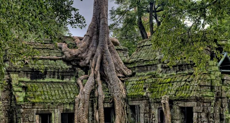 Indochina con todos los sentidos - DIAMIR Erlebnisreisen 10