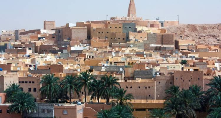 Historic desert city skyline with palm trees.