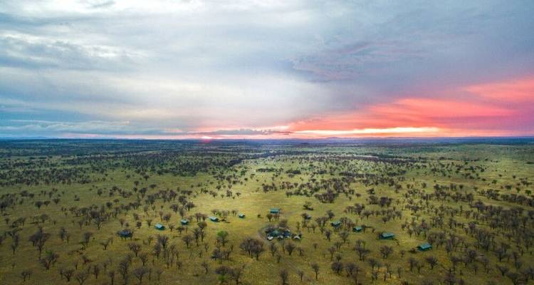 Tierras salvajes entre el Kilimanjaro y el Serengeti (9 destinations) - DIAMIR Erlebnisreisen 1