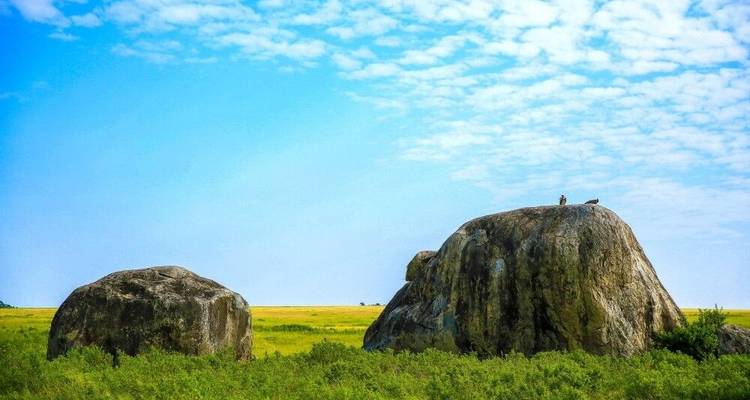 Tierras salvajes entre el Kilimanjaro y el Serengeti (9 destinations) - DIAMIR Erlebnisreisen 3