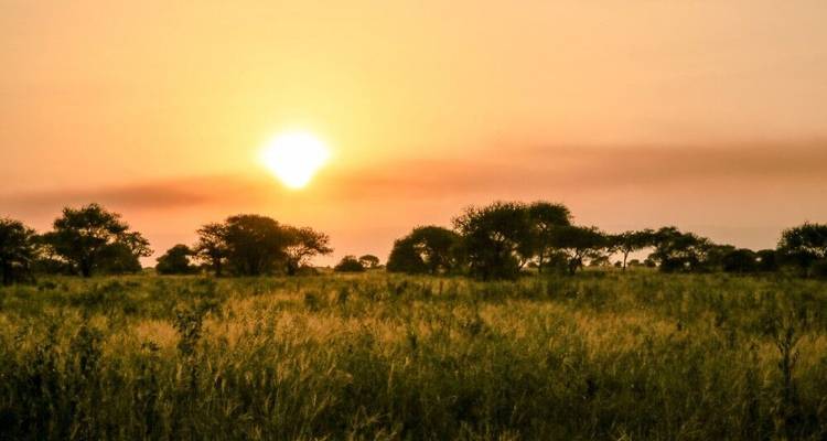 Tierras salvajes entre el Kilimanjaro y el Serengeti (9 destinations) - DIAMIR Erlebnisreisen 5