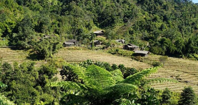 La diversidad de los pueblos indígenas del norte de la India - DIAMIR Erlebnisreisen 4