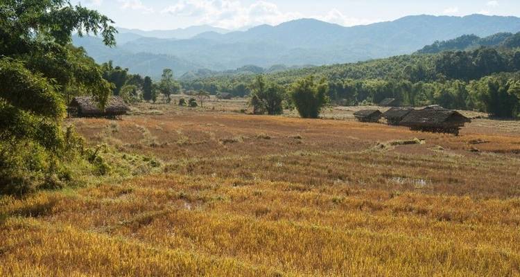 La diversidad de los pueblos indígenas del norte de la India - DIAMIR Erlebnisreisen 9
