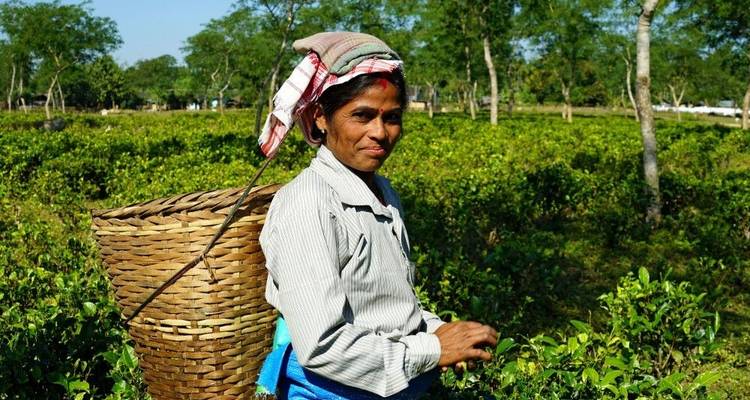 La diversidad de los pueblos indígenas del norte de la India - DIAMIR Erlebnisreisen 10