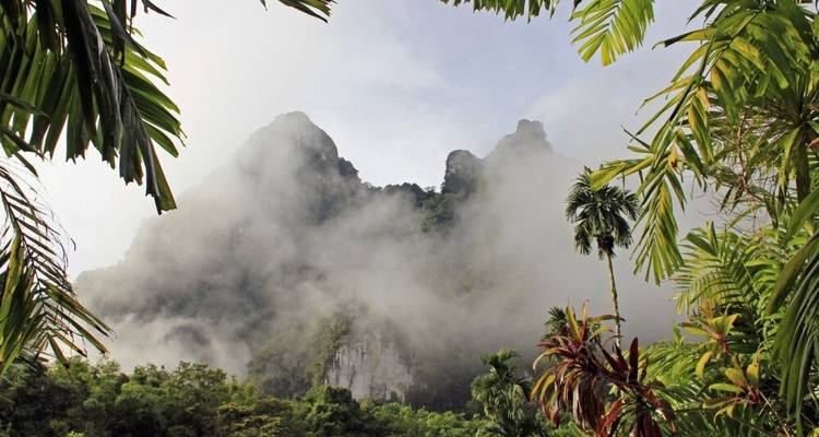 La beauté du sud de la Thaïlande - DIAMIR Erlebnisreisen 9