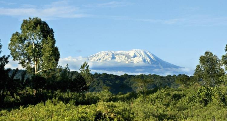 Majestueus uitzicht op de Kilimanjaro met heldere hemel.