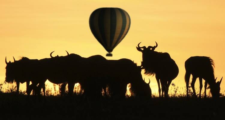 Silhouet van gnoes en een luchtballon tijdens zonsondergang.