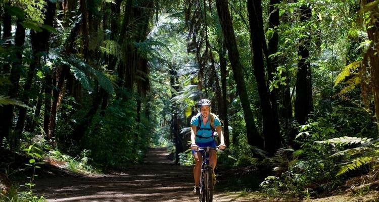 Woman cycling through a lush green forest path.