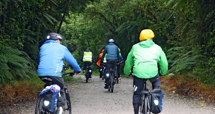 Group of cyclists riding through a dense forest trail.
