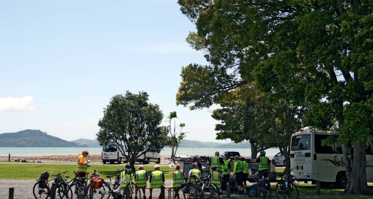 A group of cyclists resting under trees by the beach.