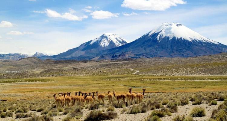 Expériences de montagne entre l'Altiplano et l'Atacama - DIAMIR Erlebnisreisen 8