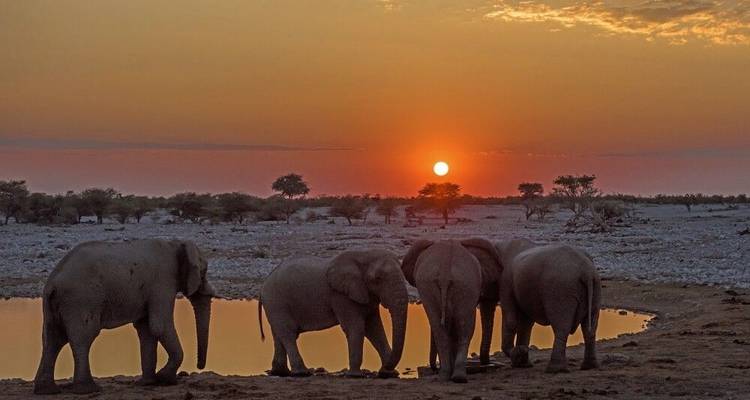 Del Cabo a Windhoek en safari de acampada - DIAMIR Erlebnisreisen 1