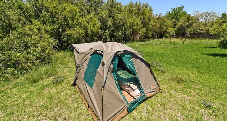 Small green tent set up in a grassy area.