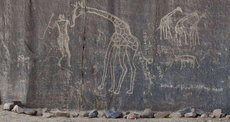 Tassili n'Ajjer - DIAMIR Erlebnisreisen 3