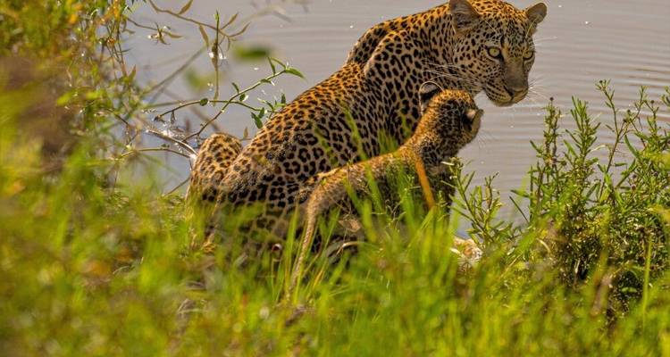 Lo mejor de Kenia - DIAMIR Erlebnisreisen 9
