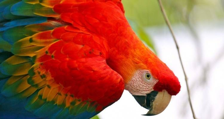 Paradis naturels au pays des mille couleurs - DIAMIR Erlebnisreisen 4