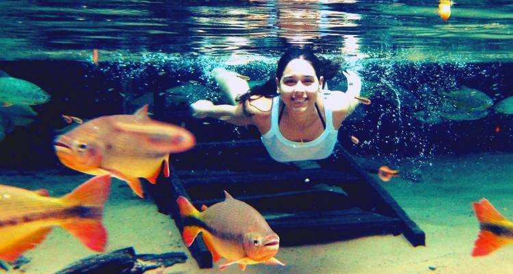 Person swimming underwater surrounded by fish.