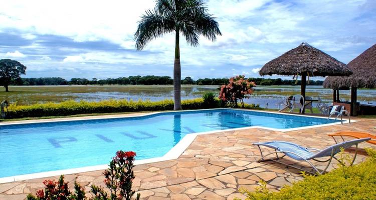 Swimming pool with a palm tree and patio chairs by a scenic field.