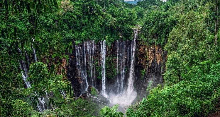 Spektakulärer Blick auf einen Wasserfall, umgeben von üppigem Regenwald.