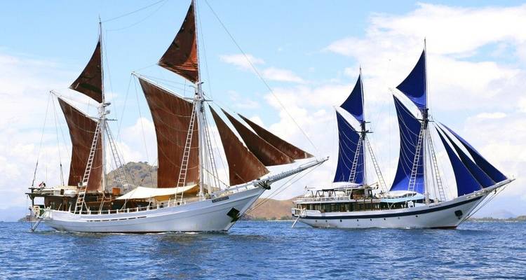 Croisière dans l'île paradisiaque des quatre Rajas - DIAMIR Erlebnisreisen 8