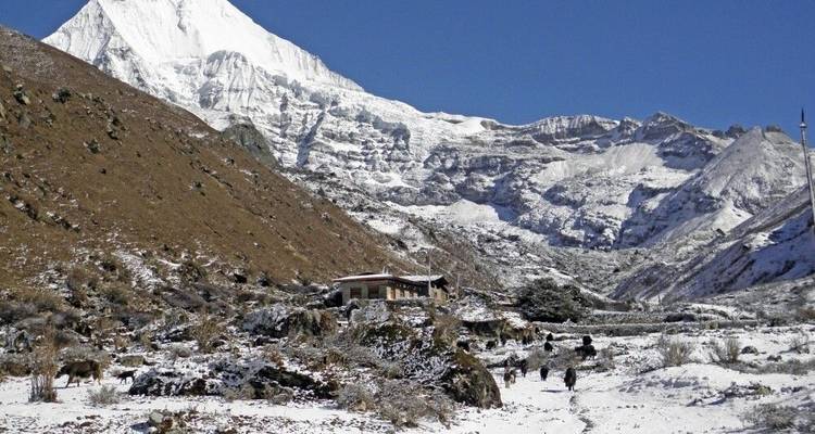 Jomolhari Trekking - DIAMIR Erlebnisreisen 6