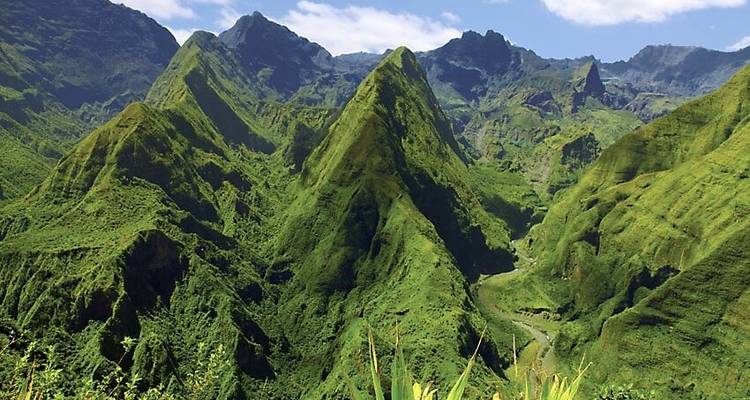 Trópicos, volcanes y mar - DIAMIR Erlebnisreisen 1