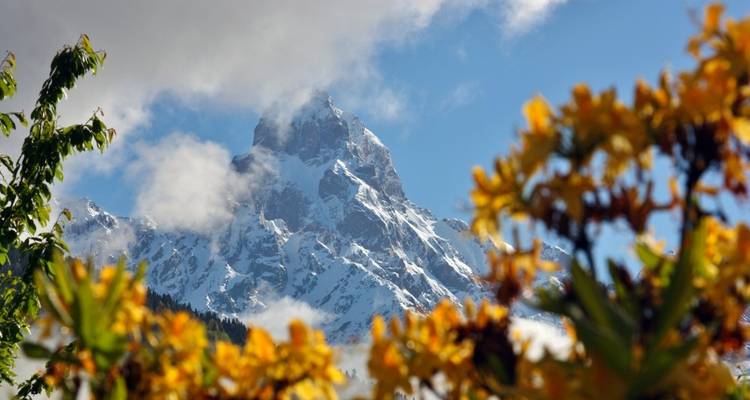 Montaña cubierta de nieve con flores en primer plano.