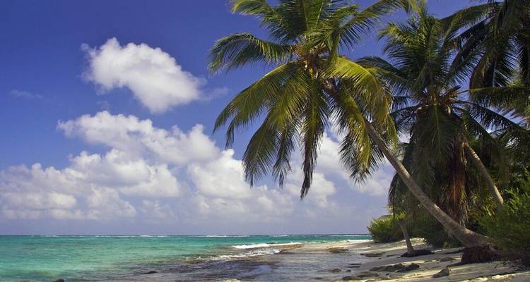 Points forts et secrets de la Colombie - DIAMIR Erlebnisreisen 7