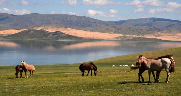 Dans le vent des steppes à travers le royaume vaste de Gengis Khan - DIAMIR Erlebnisreisen 8