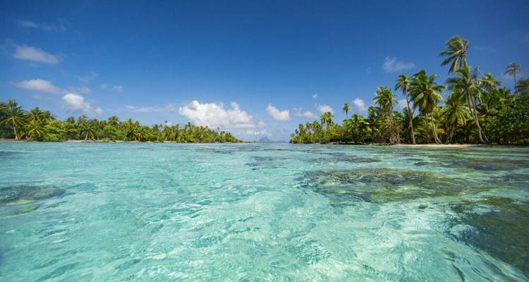 Polynesia Dream - Crucero de Tahití a Raiatea - DIAMIR Erlebnisreisen 8