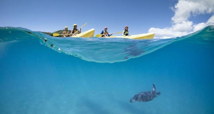 The Best between Sydney and Cairns - DIAMIR Erlebnisreisen 6