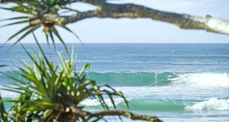 The Best between Sydney and Cairns - DIAMIR Erlebnisreisen 10
