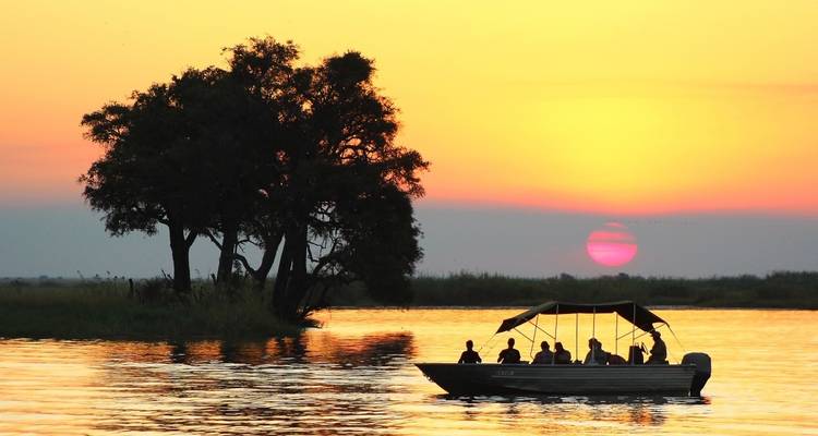 A boat with people on a lake during sunset with a silhouette of a tree.