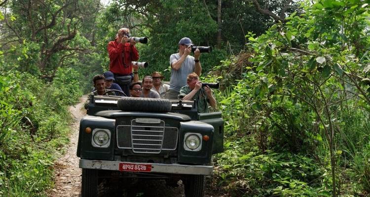 Experiencias exclusivas acechando tigres y templos - DIAMIR Erlebnisreisen 9
